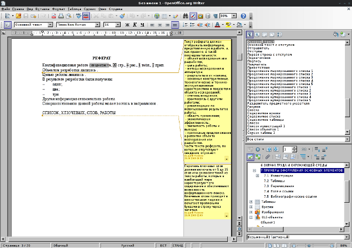 Скриншот шаблона дипломной работы
